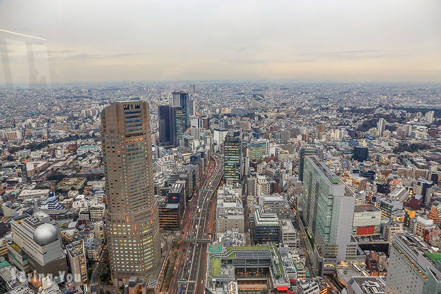 SHIBUYA SKY 观景台