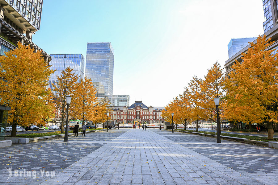 東京車站銀杏