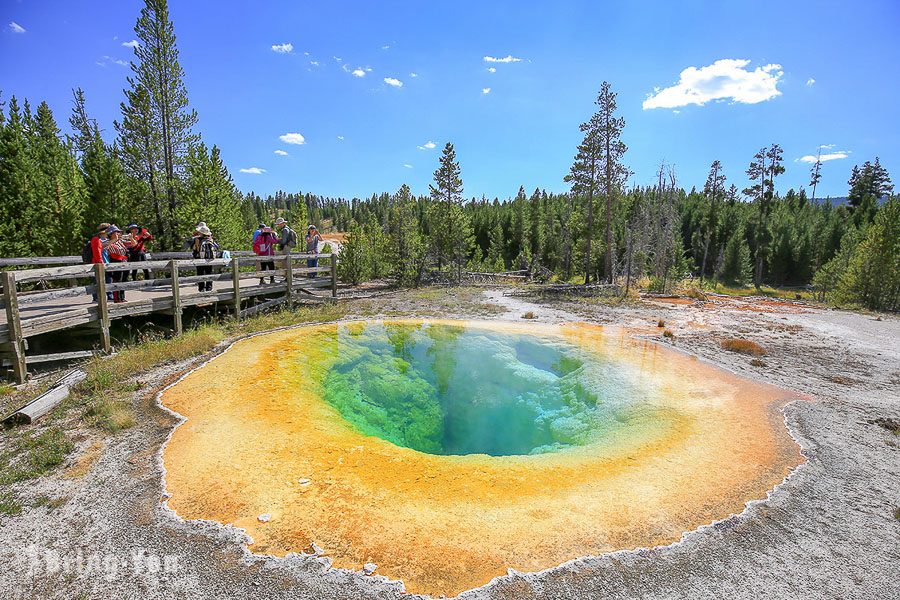 牽牛花池 Morning Glory Pool