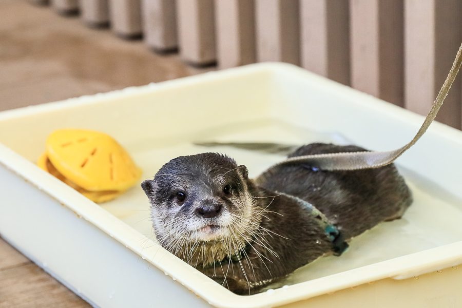 池袋阳光水族馆