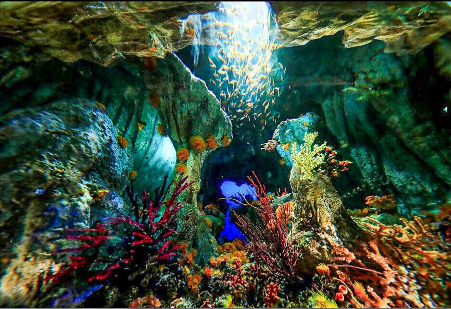 池袋阳光水族馆