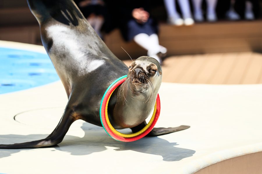 池袋阳光水族馆