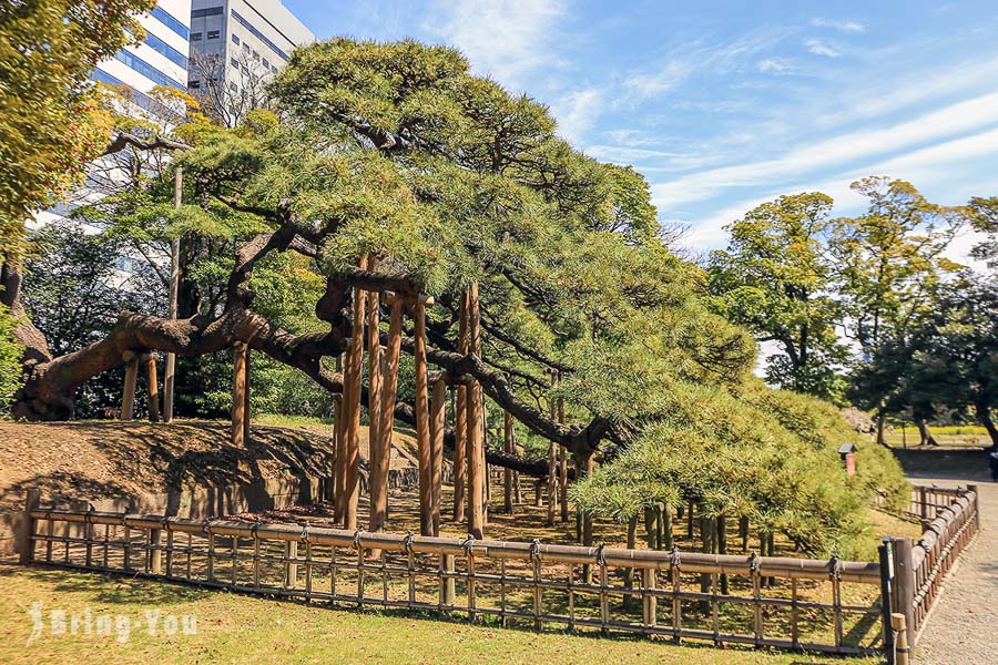 濱離宮恩賜庭園