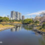 【濱離宮恩賜庭園】東京市區的金黃油菜花田、櫻花林，汐留築地順遊江戶時代景點
