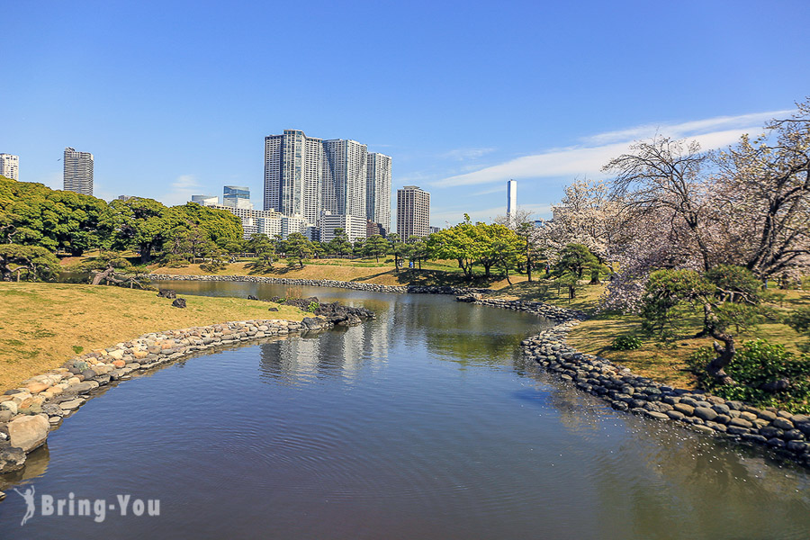 【濱離宮恩賜庭園】東京市區的金黃油菜花田、櫻花林，汐留築地順遊江戶時代景點