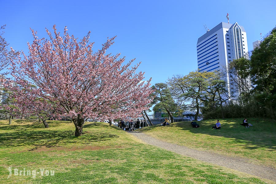 濱離宮恩賜庭園櫻花林