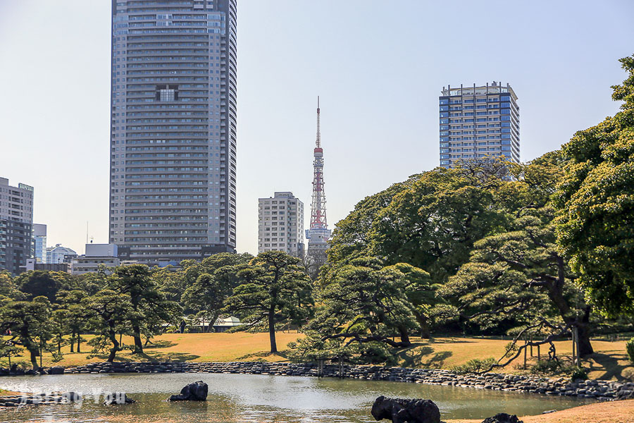 濱離宮恩賜庭園