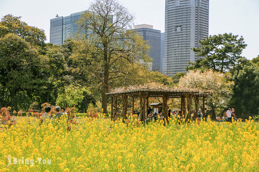 濱離宮恩賜庭園