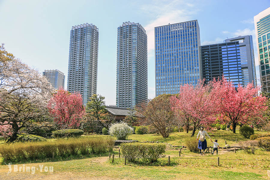 濱離宮恩賜庭園