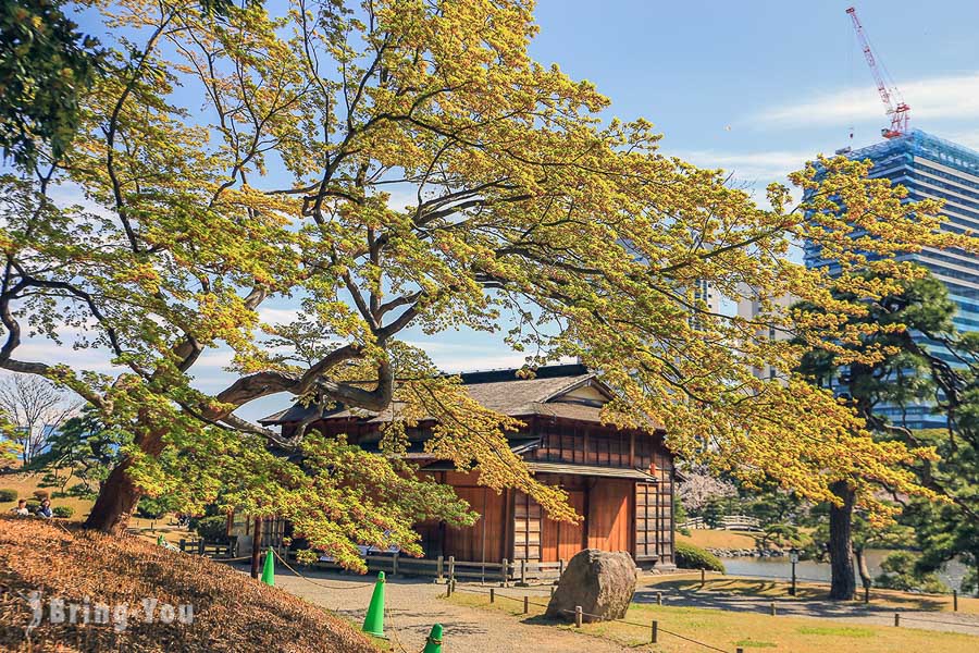 濱離宮恩賜庭園