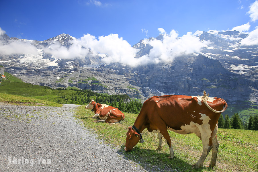 【少女峰】小夏戴克健行路線：Kleine Scheidegg～Wengen車站～Lauterbrunnen