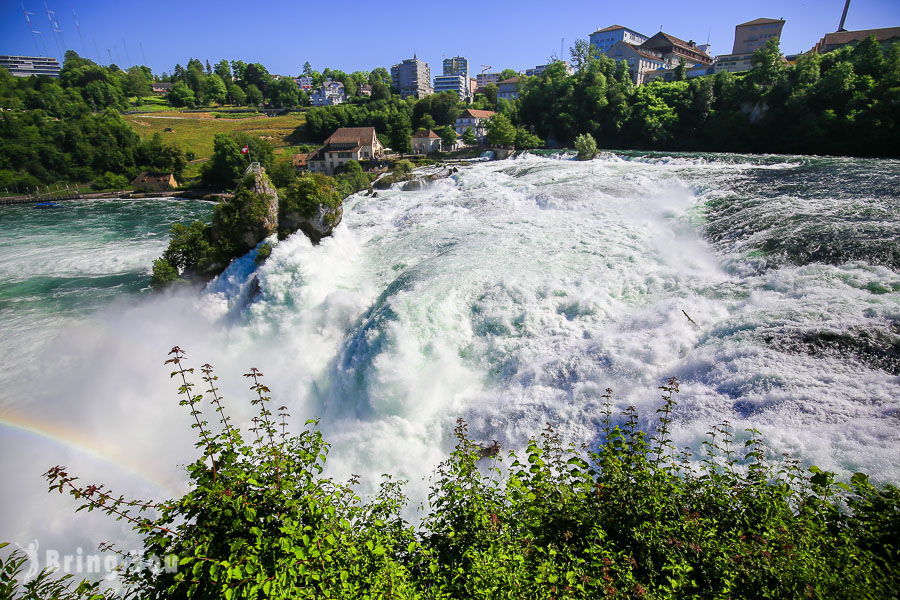 Is Rhine Falls Worth Visiting? Getting There, Day Tour, Cruise Trip, Things to Do