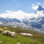 【阿爾卑斯山旅遊】瑞士、法國群峰，德國、奧地利山湖美景小鎮景點&行程安排攻略