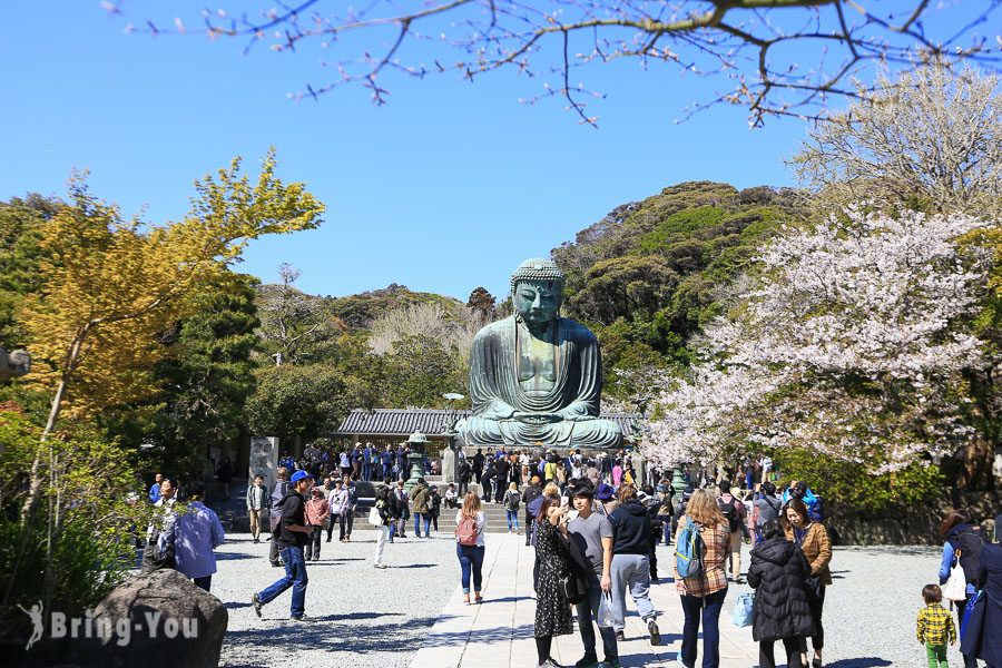 高德院鎌倉大佛