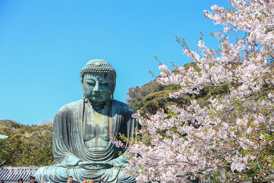 【鎌倉】高德院鎌倉大佛：電鐵江之電「長谷站」輕旅行來看日本最大戶外佛像