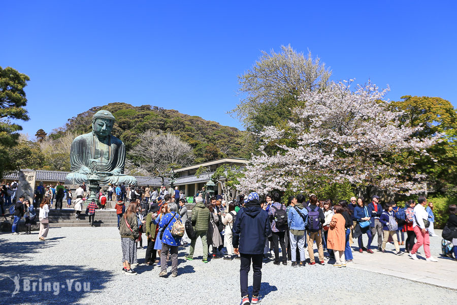 高德院鎌倉大佛