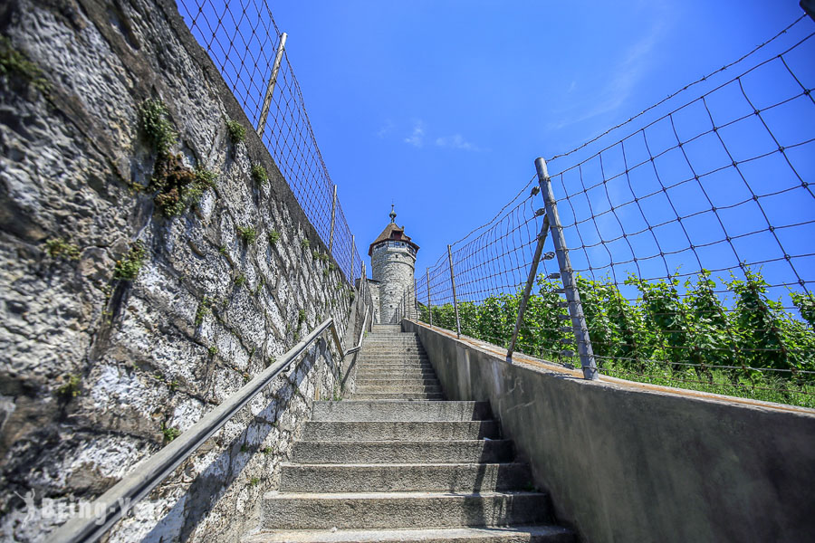 Schaffhausen 沙夫豪森景點