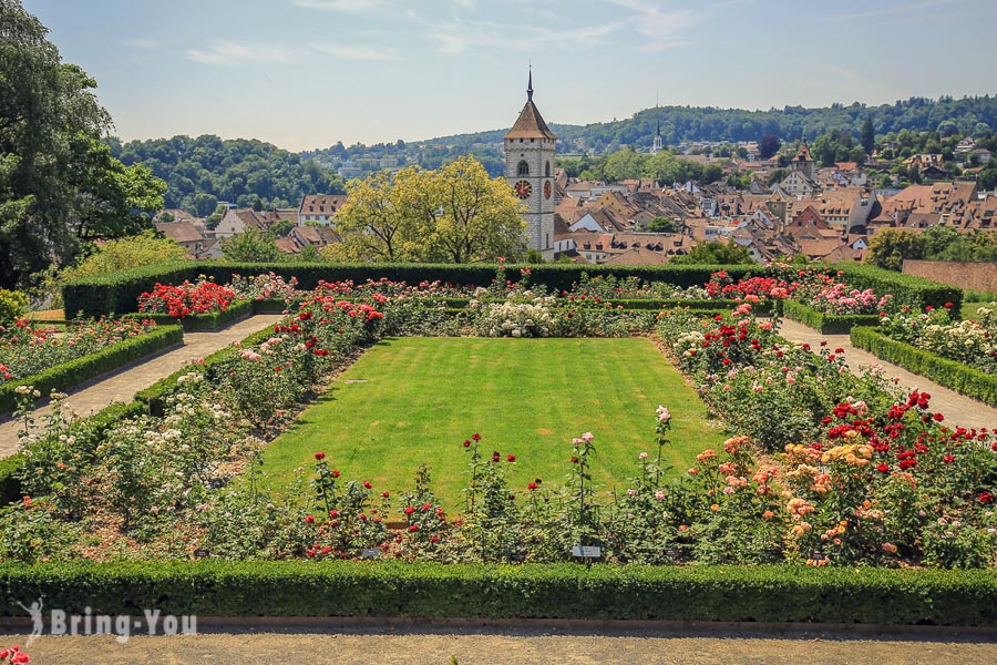 Schaffhausen 沙夫豪森景点