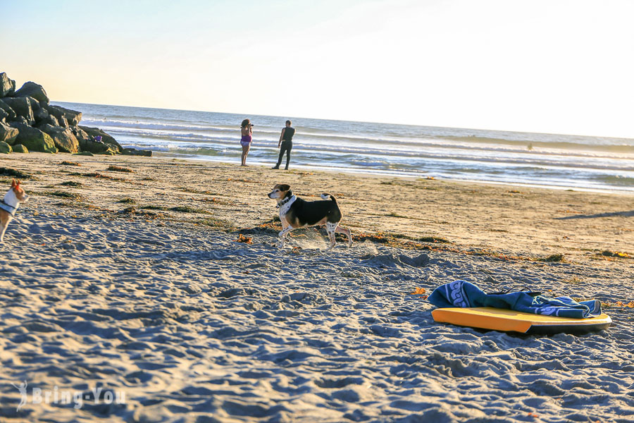 圣地牙哥 Ocean Beach