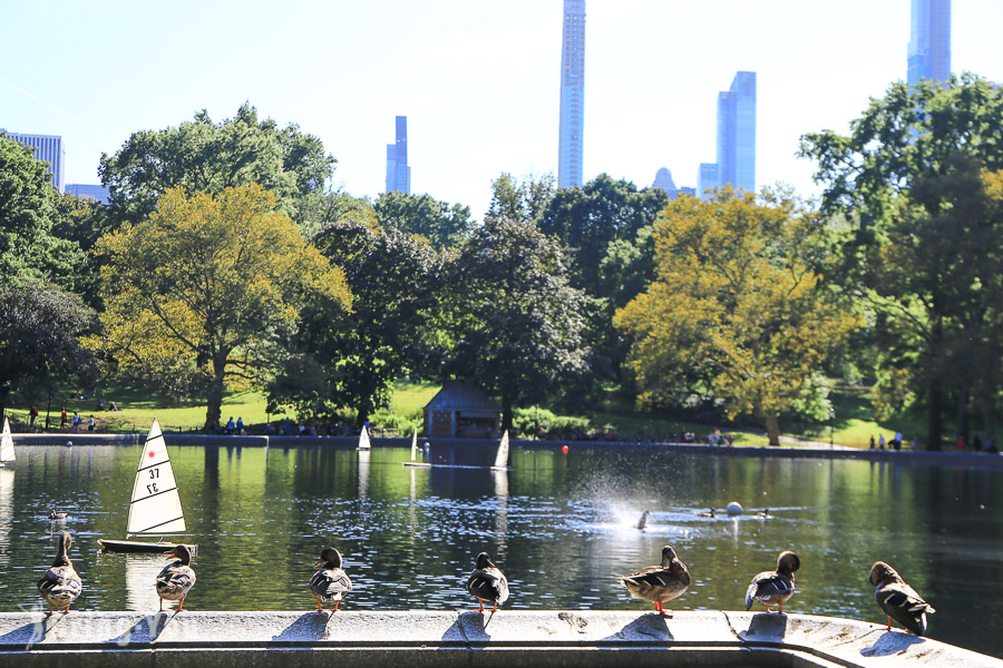 紐約中央公園景點