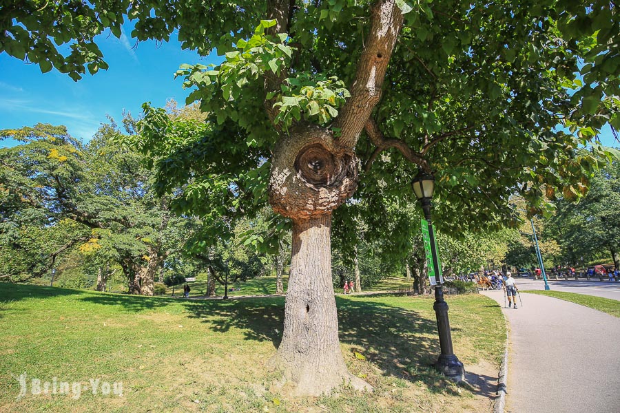 紐約中央公園景點