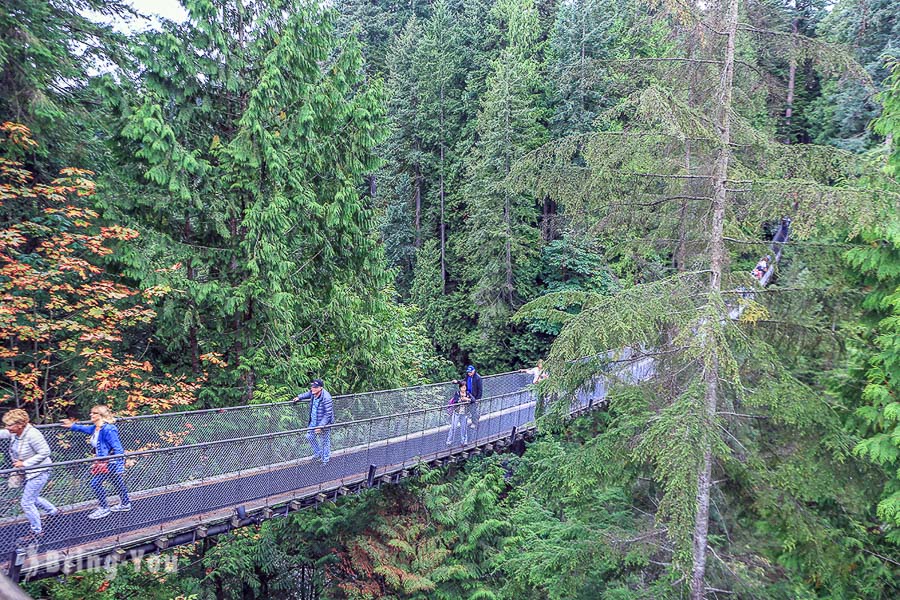 卡皮拉諾吊橋公園（Capilano Suspension Bridge Park）