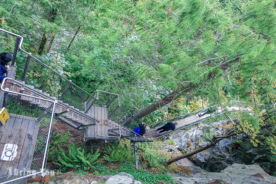 卡皮拉諾吊橋公園（Capilano Suspension Bridge Park）