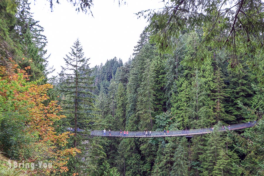 卡皮拉諾吊橋公園（Capilano Suspension Bridge Park）