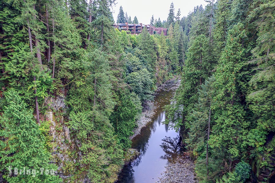 卡皮拉諾吊橋公園（Capilano Suspension Bridge Park）