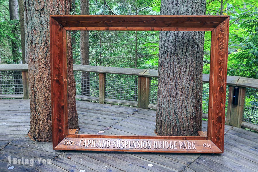 卡皮拉諾吊橋公園（Capilano Suspension Bridge Park）