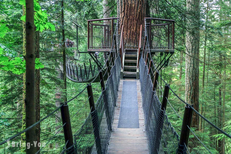 卡皮拉诺吊桥公园（Capilano Suspension Bridge Park）