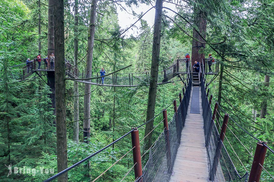 卡皮拉诺吊桥公园（Capilano Suspension Bridge Park）