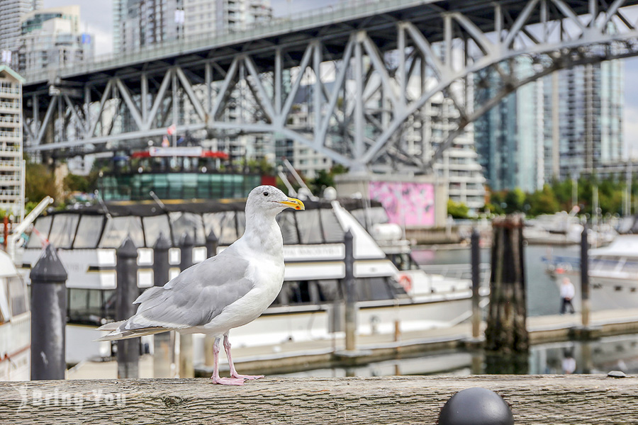 固兰湖岛市集 Granville Island Public Market