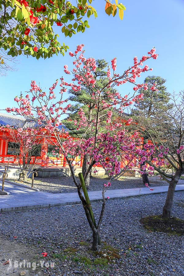 京都三十三間堂