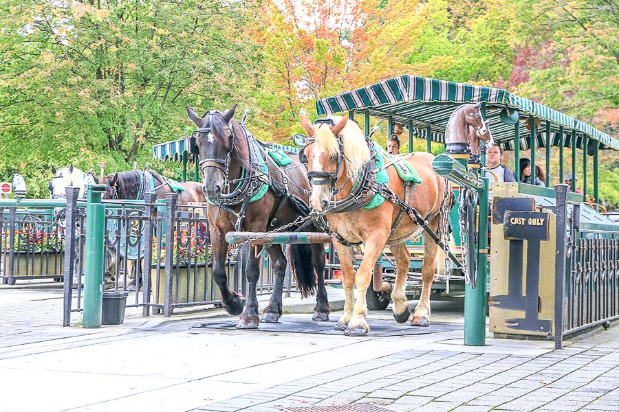 史丹利公园 Stanley park