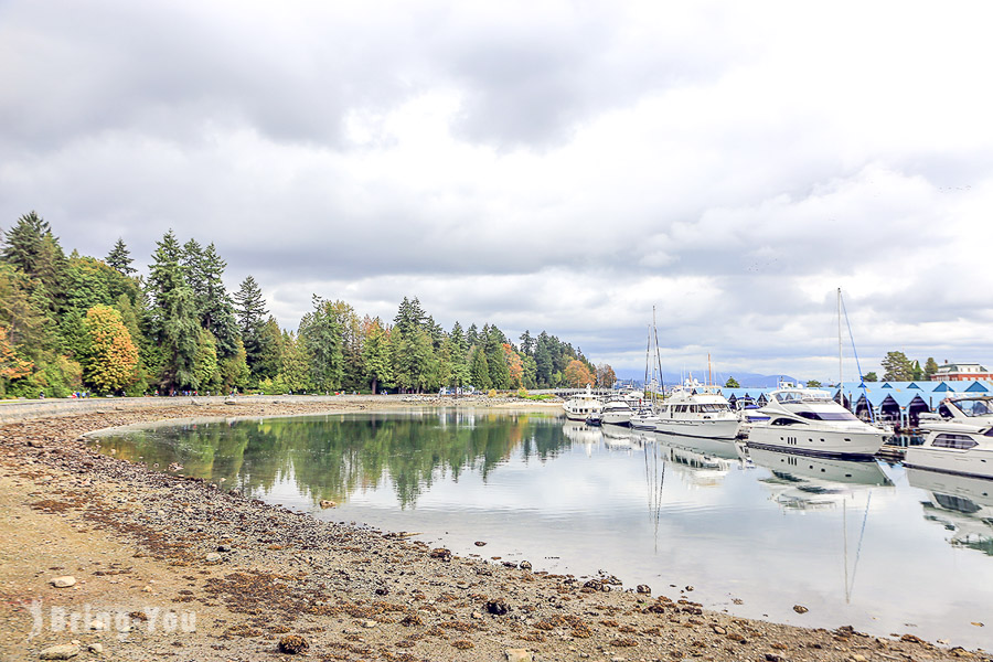 史丹利公園 Stanley park