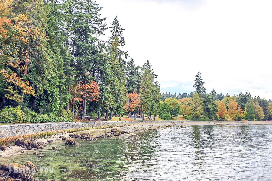 史丹利公园 Stanley park