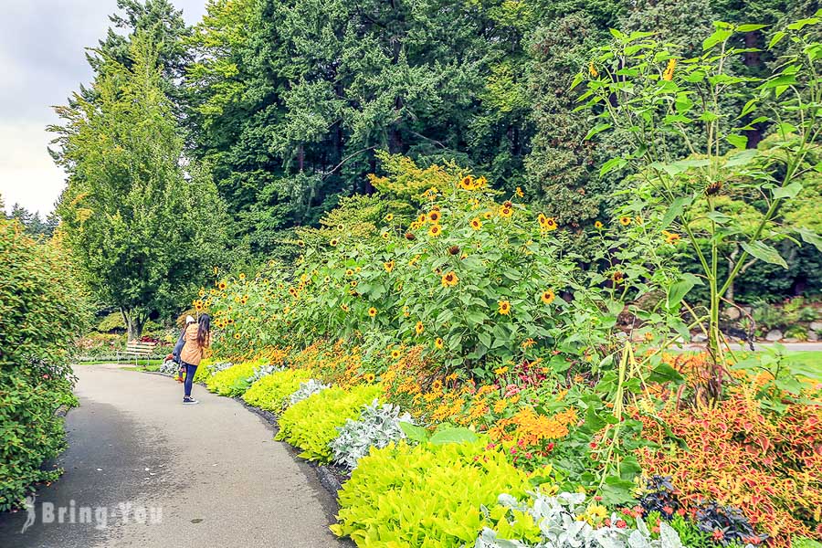 史丹利公園 Stanley park