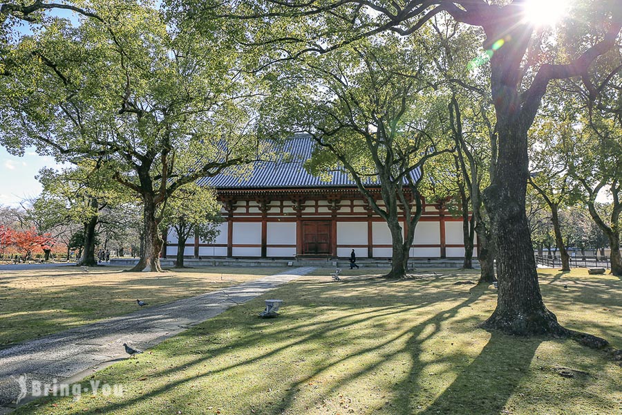 京都東寺