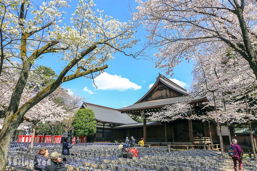 靖國神社賞櫻