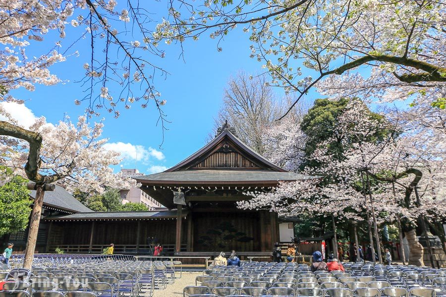 靖国神社赏樱