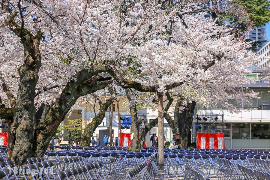 靖國神社賞櫻