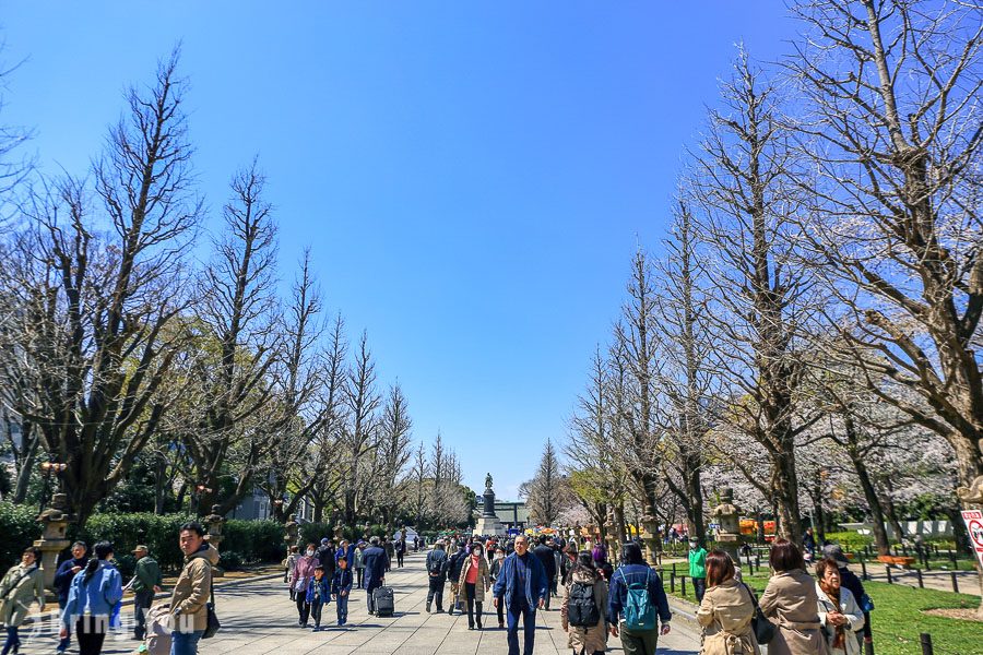 靖國神社賞櫻