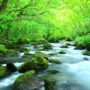 【奥入濑溪流自由行】夏天新绿自行车玩法 & 青森出发交通攻略
