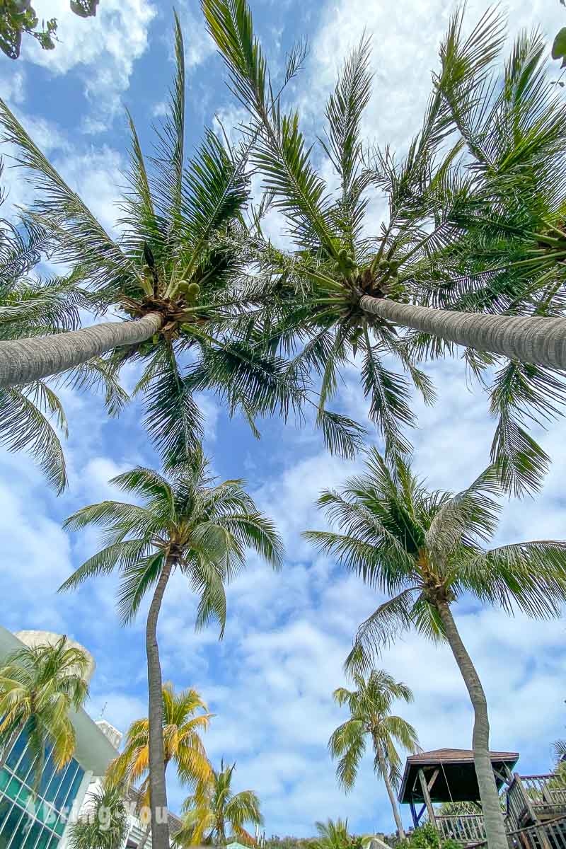 墾丁悠活渡假村 YoHo Beach Resort