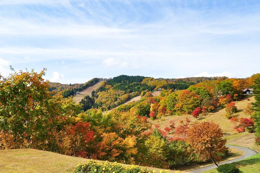 山形县朝日町