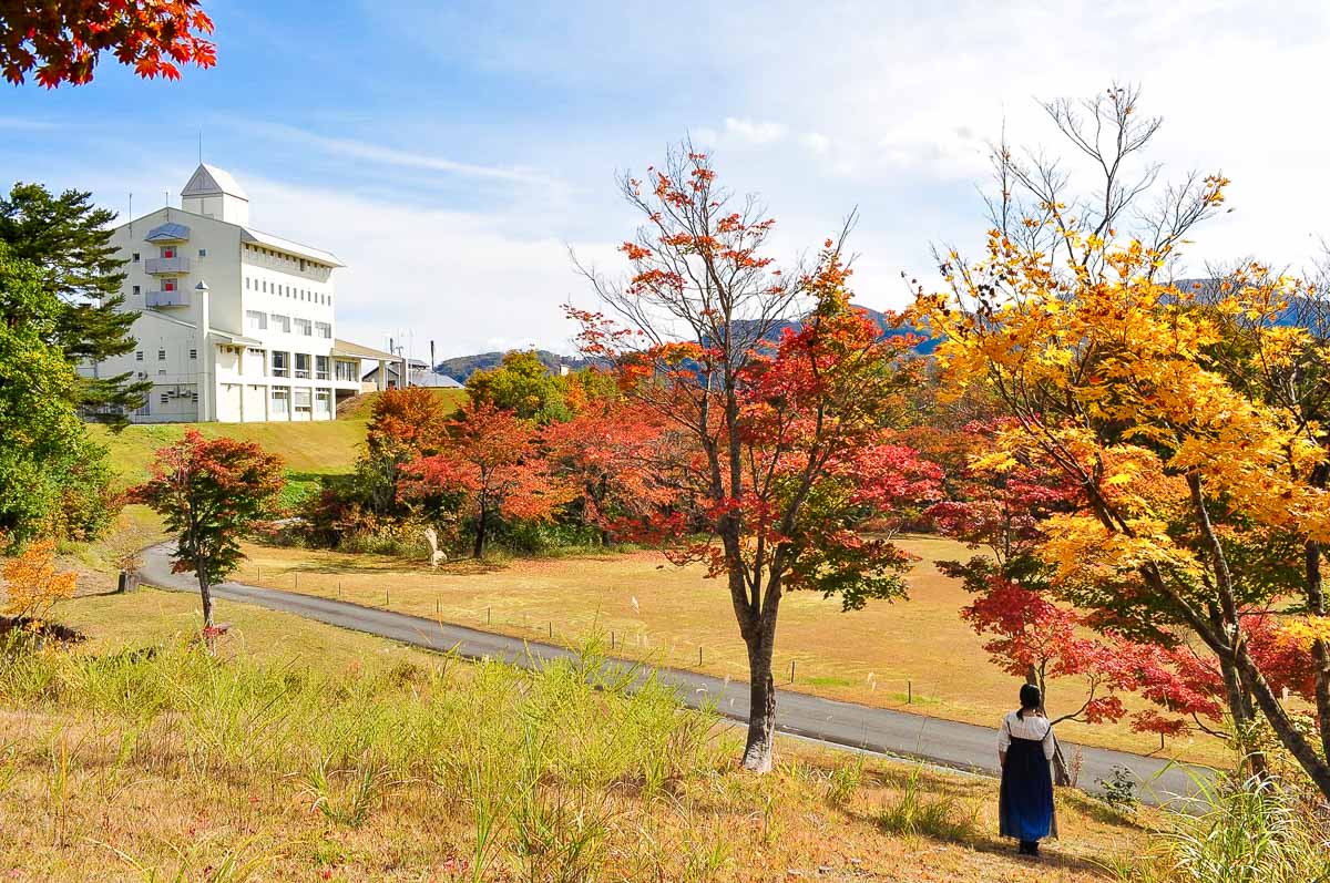 朝日自然觀雪樂園