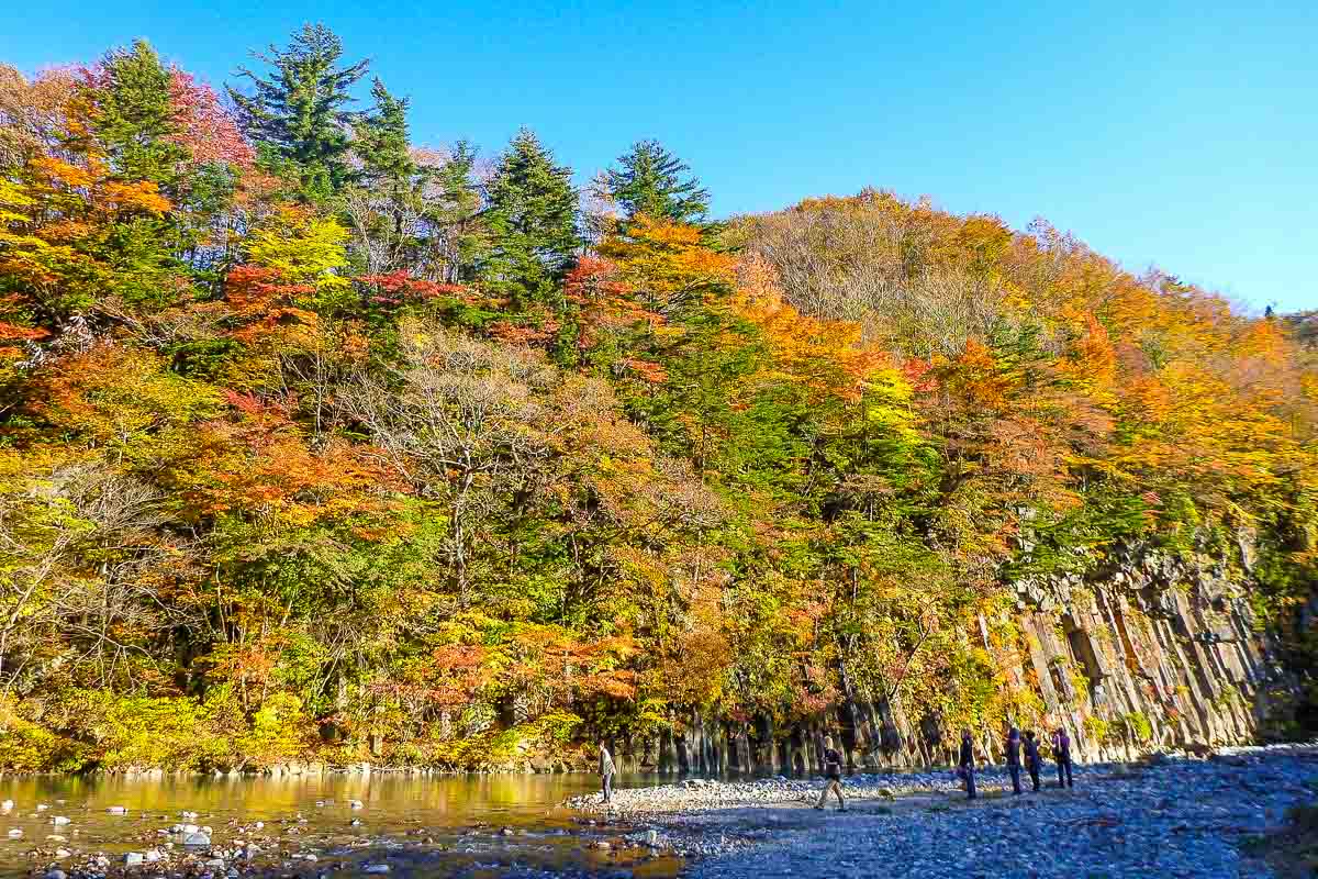 八幡平市赏枫