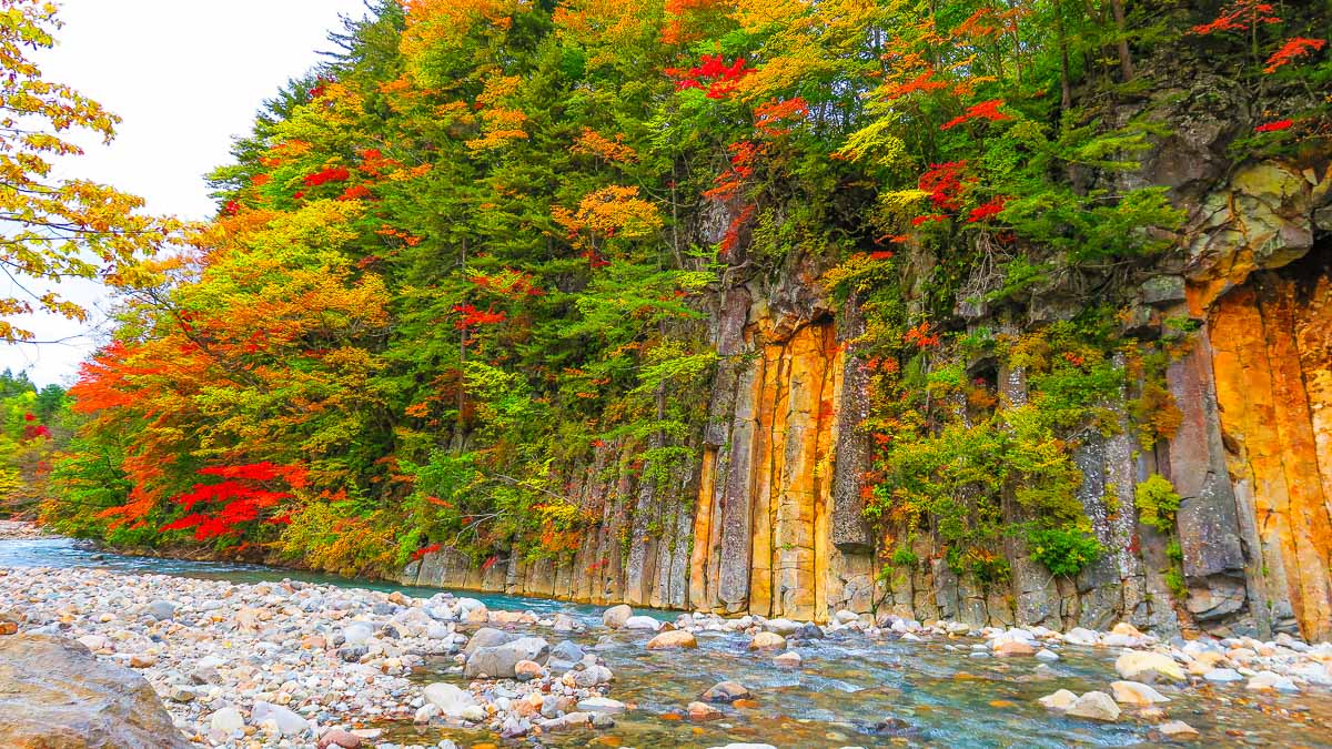 八幡平市賞楓