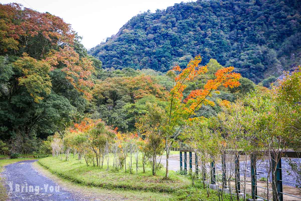 奥万大枫林步道